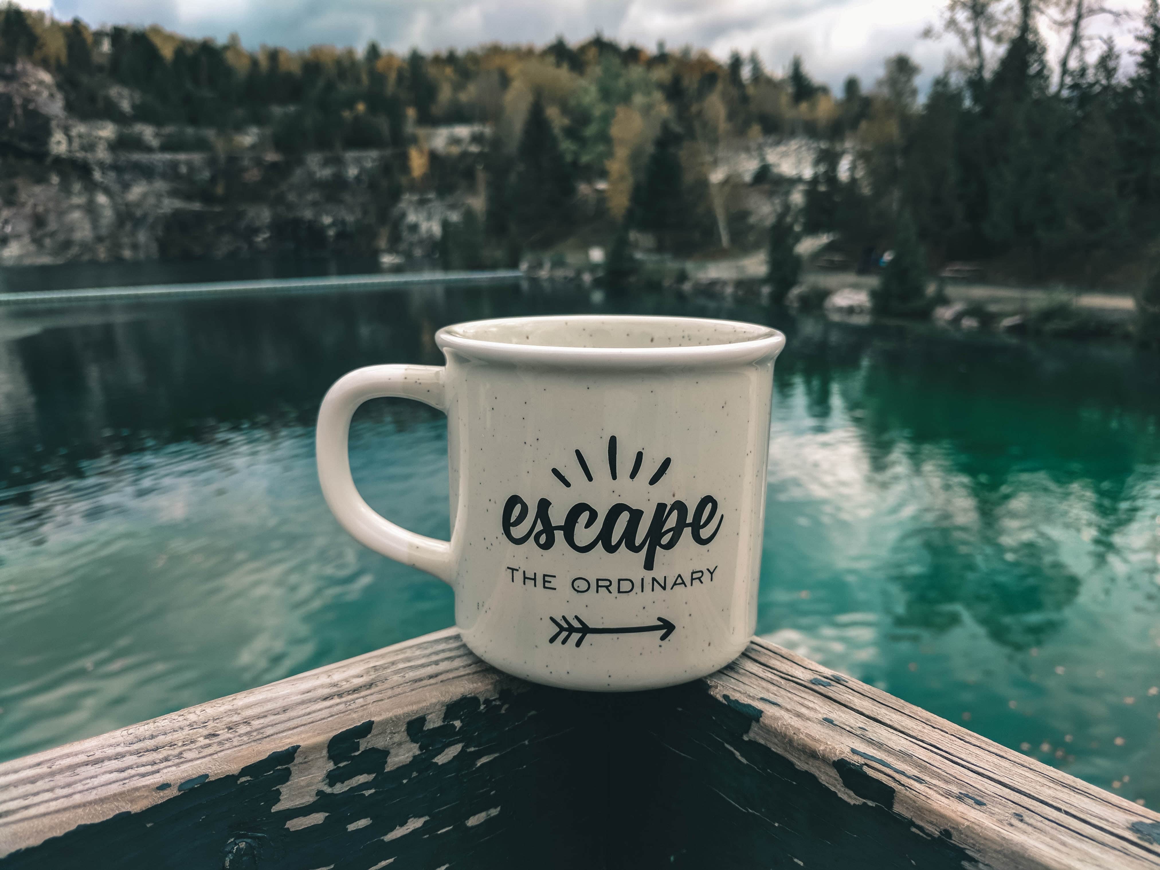 escape the ordinary mug with pool