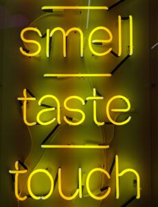 intuitive eating neon lights smell taste touch
